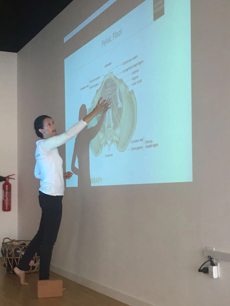 Pelvic floor education workshop